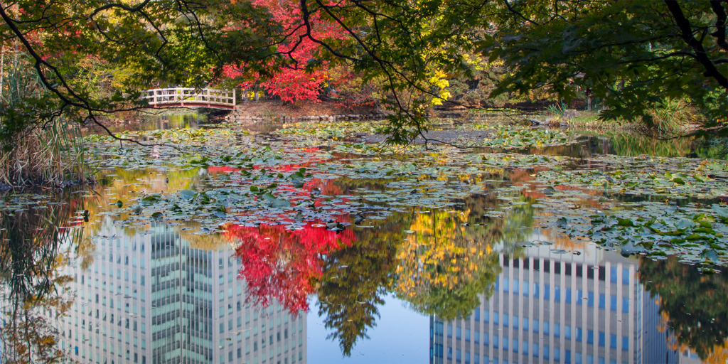 Sapporo.Japan 6545GregLawson