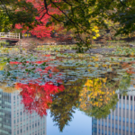 Sapporo.Japan 6545GregLawson