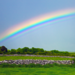 SupernumeraryrainbowIreland 6446GregLawson